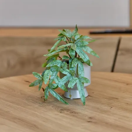 Binz-meyer Paulsberg Apartment