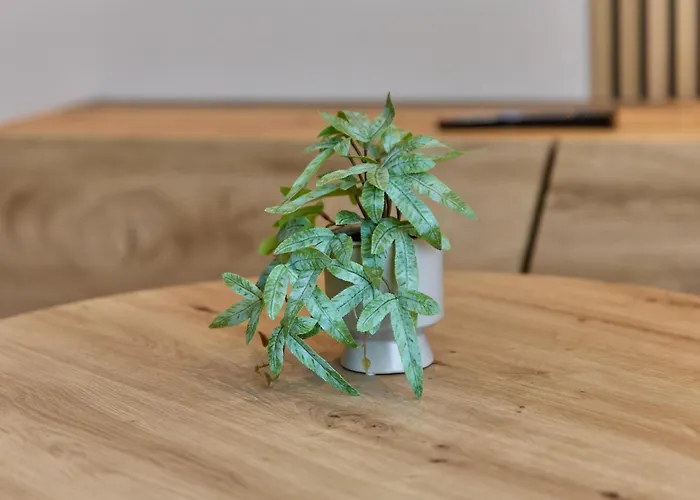 Gaestehaus Binz-meyer Paulsberg アパート